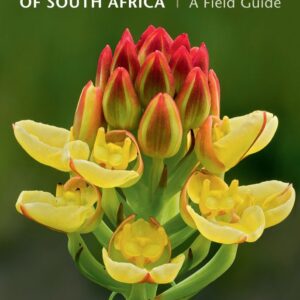Books - Field Guide: Orchids Of South Africa
